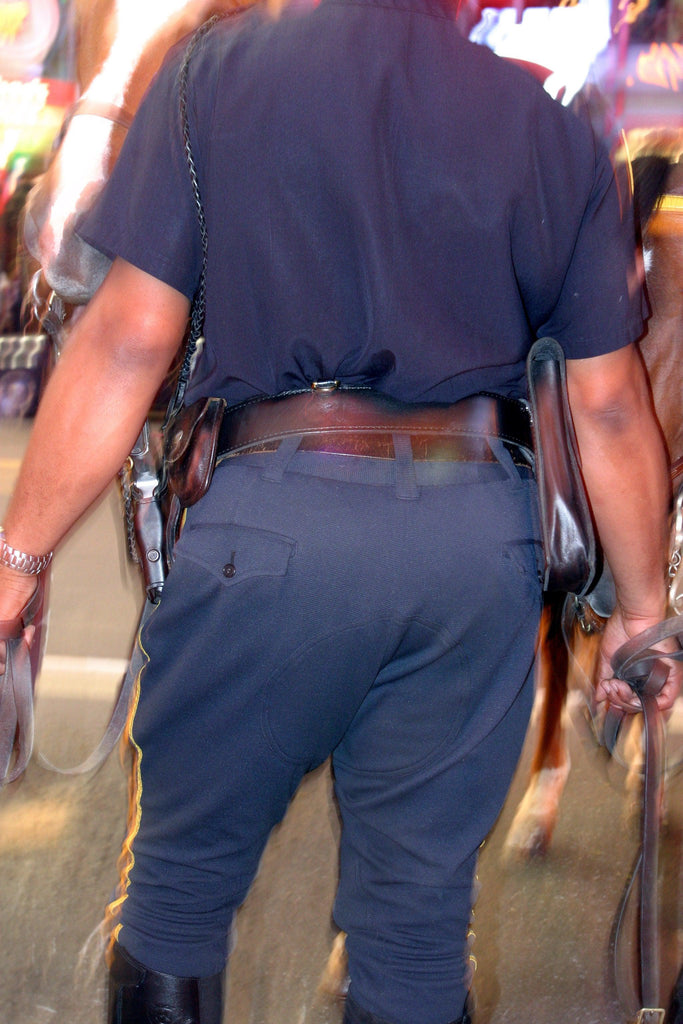 Horse Policeman 2003