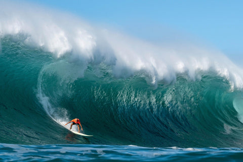 SURFER Mike Ho