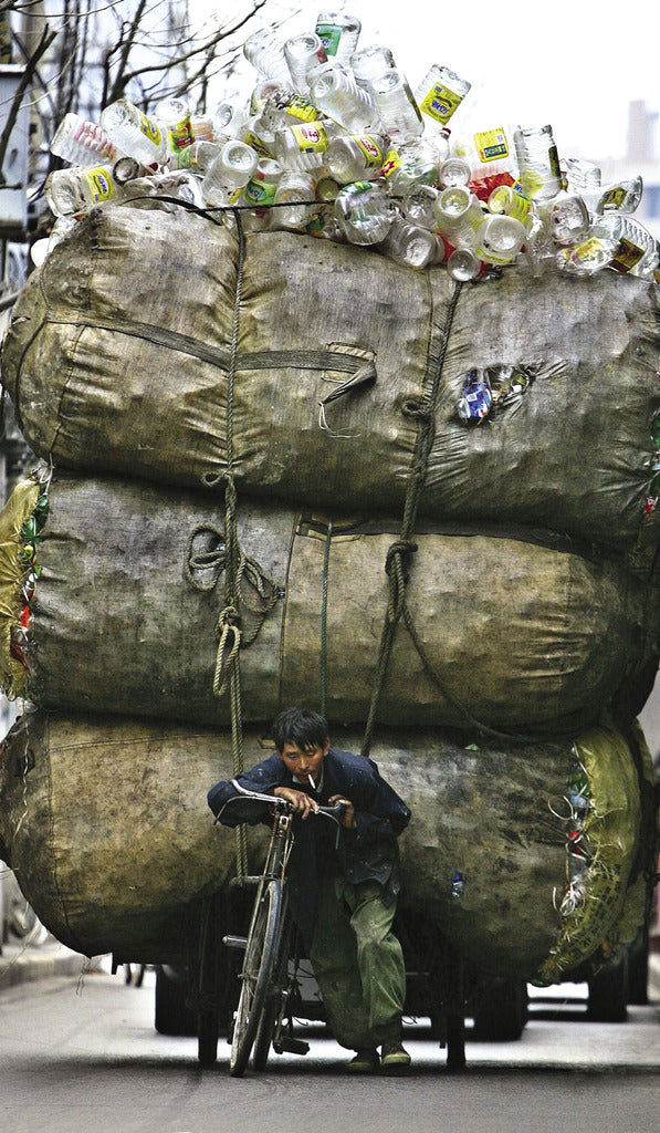 The Life of a Garbage Scavenger