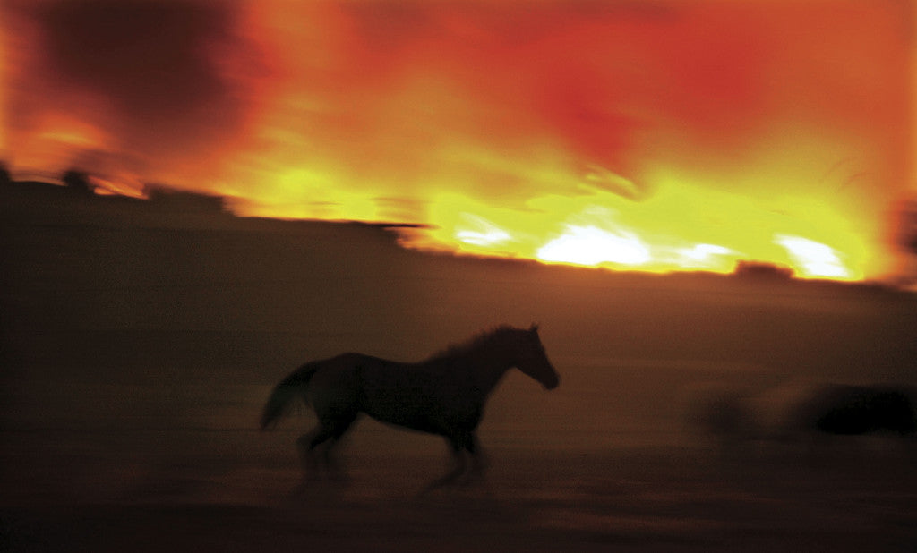 California Wildfires: SAN DIEGO