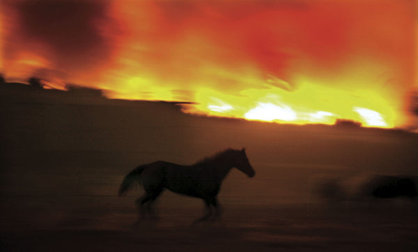 California Wildfires: SAN DIEGO