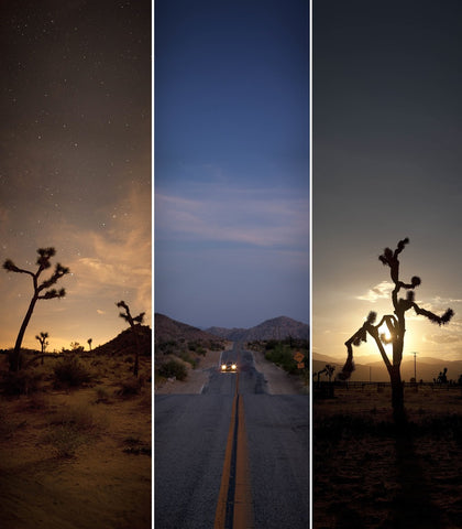Joshua Tree
